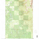 United States Geological Survey Condon, MT (1994, 24000-Scale) digital map