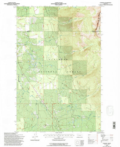 United States Geological Survey Condon, MT (1994, 24000-Scale) digital map