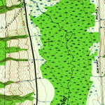 United States Geological Survey Conesus, NY (1964, 24000-Scale) digital map