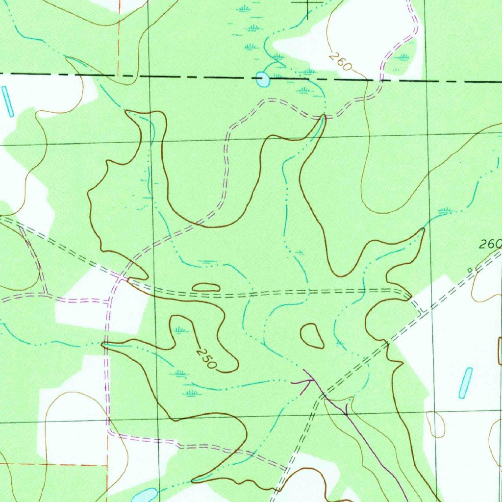 Coolidge, GA (1978, 24000-Scale) Map by United States Geological Survey ...