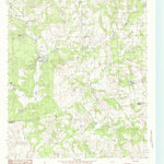 United States Geological Survey Coon Creek Lake, TX (1984, 24000-Scale) digital map