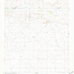 United States Geological Survey Cooper Ranch, NM (1966, 24000-Scale) digital map