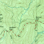 United States Geological Survey Coosa Bald, GA (1988, 24000-Scale) digital map