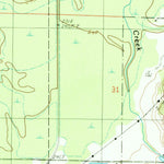 United States Geological Survey Copemish, MI (1987, 24000-Scale) digital map