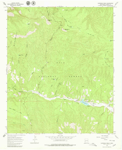 United States Geological Survey Copperas Peak, NM (1965, 24000-Scale) digital map