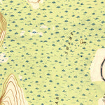 United States Geological Survey Cornwall, VT (1943, 31680-Scale) digital map