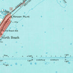 United States Geological Survey Corpus Christi, TX (1951, 62500-Scale) digital map