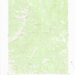 United States Geological Survey Corral Peaks, CO (1980, 24000-Scale) digital map