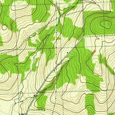 United States Geological Survey Cortland, NY (1944, 31680-Scale) digital map