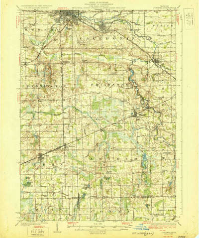 United States Geological Survey Corunna, MI (1929, 62500-Scale) digital map