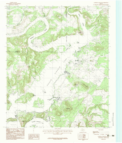 United States Geological Survey Costello Island, TX (1984, 24000-Scale) digital map