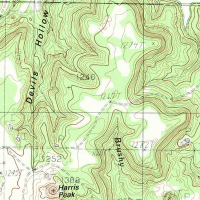 United States Geological Survey Costello Island, TX (1984, 24000-Scale) digital map