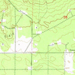 United States Geological Survey Cote Dame Marie, MI (1950, 24000-Scale) digital map