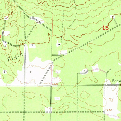 United States Geological Survey Cote Dame Marie, MI (1950, 24000-Scale) digital map