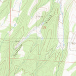 United States Geological Survey Cotopaxi, CO (1980, 24000-Scale) digital map