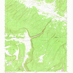 United States Geological Survey Cottonwood Canyon, NM (1961, 24000-Scale) digital map
