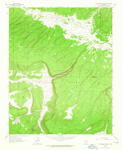United States Geological Survey Cottonwood Canyon, NM (1962, 24000-Scale) digital map
