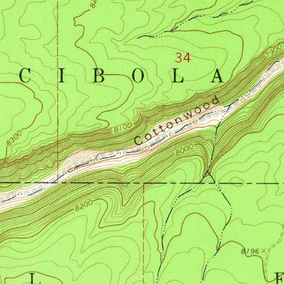 United States Geological Survey Cottonwood Canyon, NM (1962, 24000-Scale) digital map