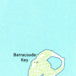 United States Geological Survey Cottrell Key, FL (1963, 24000-Scale) digital map