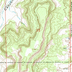 United States Geological Survey Counselor, NM (1966, 24000-Scale) digital map