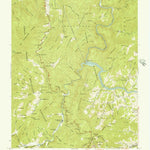 United States Geological Survey Cove Creek Gap, NC (1941, 24000-Scale) digital map