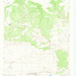 United States Geological Survey Cow Canyon, NM (1968, 24000-Scale) digital map