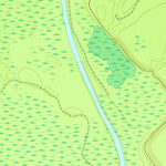 United States Geological Survey Cow Hell Swamp, GA (1974, 24000-Scale) digital map
