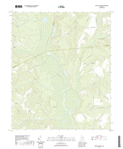 United States Geological Survey Cow Hell Swamp, GA (2020, 24000-Scale) digital map