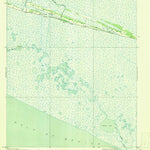United States Geological Survey Cow Island, LA (1946, 31680-Scale) digital map