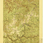 United States Geological Survey Cowen, WV (1917, 62500-Scale) digital map