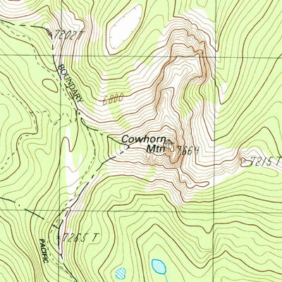 United States Geological Survey Cowhorn Mountain, OR (1986, 24000-Scale) digital map