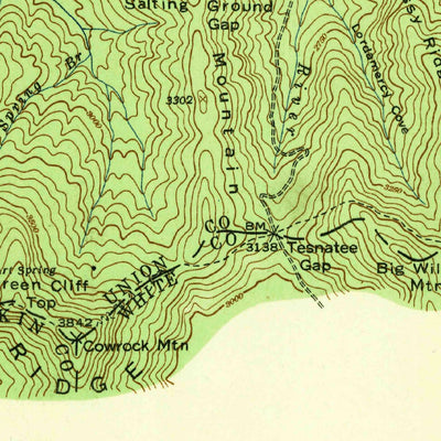 United States Geological Survey Cowrock, GA (1938, 24000-Scale) digital map