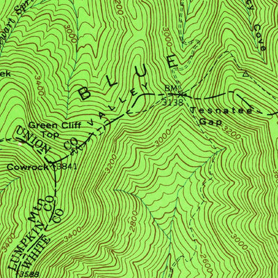 United States Geological Survey Cowrock, GA (1950, 24000-Scale) digital map