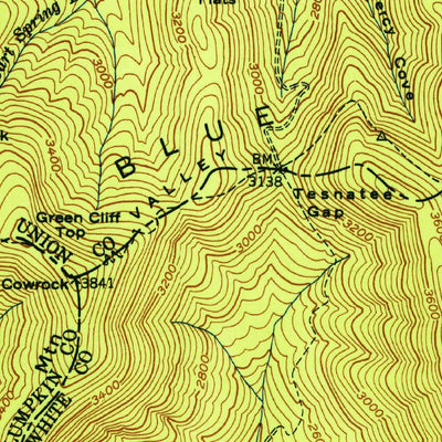 United States Geological Survey Cowrock, GA (1952, 24000-Scale) digital map