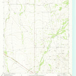 United States Geological Survey Coyanosa SE, TX (1974, 24000-Scale) digital map