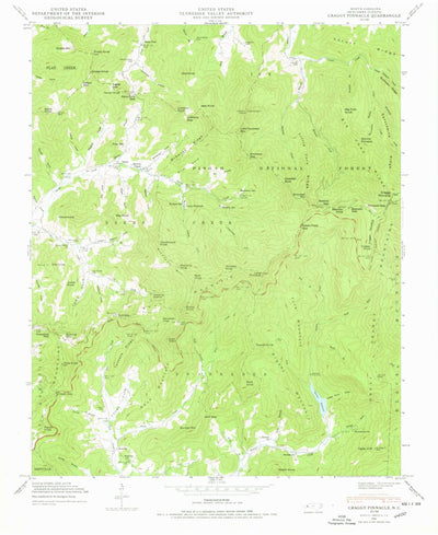 United States Geological Survey Craggy Pinnacle, NC (1946, 24000-Scale) digital map