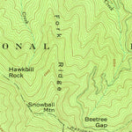 United States Geological Survey Craggy Pinnacle, NC (1946, 24000-Scale) digital map
