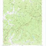 United States Geological Survey Craggy Pinnacle, NC (1947, 24000-Scale) digital map