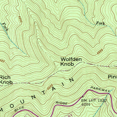 United States Geological Survey Craggy Pinnacle, NC (1947, 24000-Scale) digital map