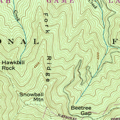 United States Geological Survey Craggy Pinnacle, NC (1947, 24000-Scale) digital map