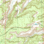 United States Geological Survey Crow Mesa East, NM (1985, 24000-Scale) digital map
