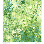 United States Geological Survey Crows Nest Hammock, FL (1974, 24000-Scale) digital map