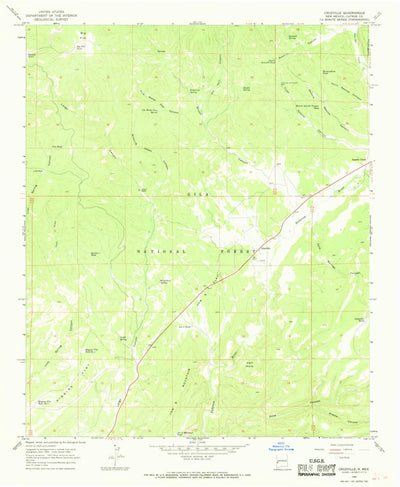 United States Geological Survey Cruzville, NM (1965, 24000-Scale) digital map