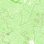 United States Geological Survey Cuervo Creek, TX (1965, 24000-Scale) digital map
