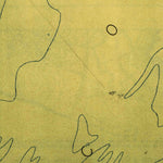 United States Geological Survey Cumberland Island, GA (1918, 62500-Scale) digital map