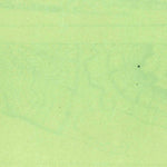 United States Geological Survey Cumberland Island, GA (1930, 62500-Scale) digital map
