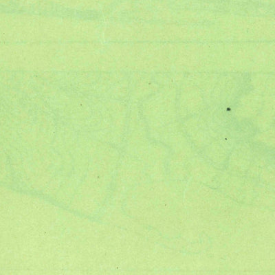 United States Geological Survey Cumberland Island, GA (1930, 62500-Scale) digital map