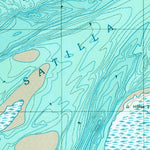 United States Geological Survey Cumberland Island North, GA (1998, 24000-Scale) digital map