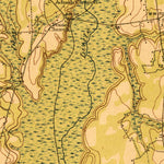 United States Geological Survey Cummings, SC (1919, 62500-Scale) digital map