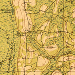 United States Geological Survey Cummings, SC (1919, 62500-Scale) digital map